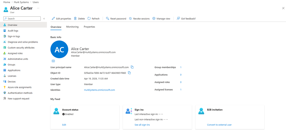 Entra ID user view